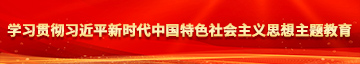 动漫男女屌叉屄学习贯彻习近平新时代中国特色社会主义思想主题教育