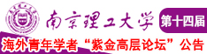 国产好屌艹碧视频南京理工大学第十四届海外青年学者紫金论坛诚邀海内外英才！